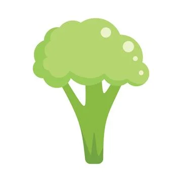 Vegan brocoli icon flat vector. Vegetable cabbage Ilustración de archivo