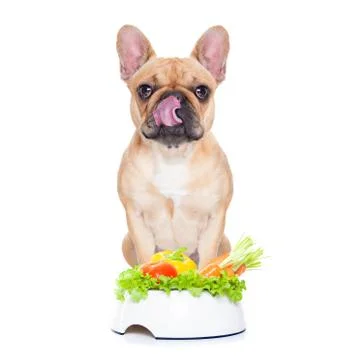 Vegan dog Stock-Fotos
