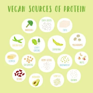 Vegan sources of protein. Stock Illustration