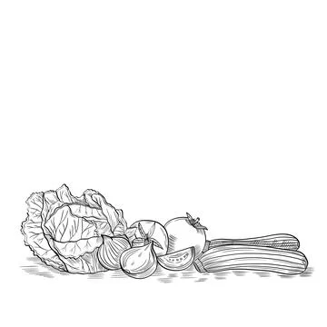 Vegan vegetables healthy food green doodle style hand drawing illustration Stock Illustration