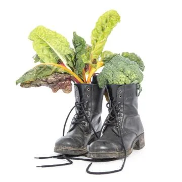 Vegan world: Vegan and cruelty free boot, dirty and used with fresh vegetable Stock Photos