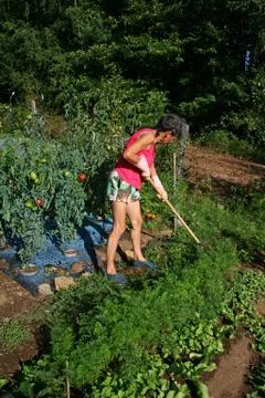 Vege patch Fotos de archivo