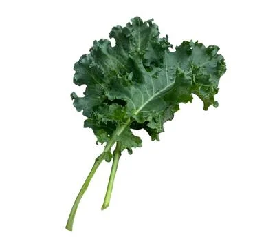 Vegetable-02 Stock Photos
