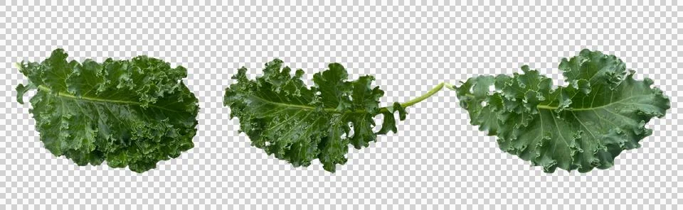 Vegetable-02 Stock Photos