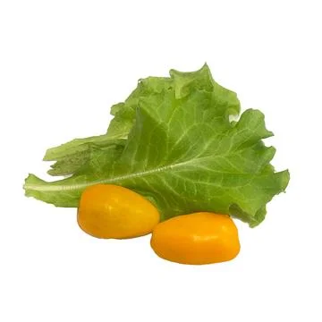 Vegetable-1- Stock Photos