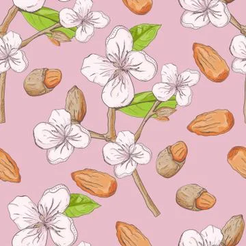 Vegetable 1 seamless pattern of the branches nuts almonds for decoration desi Stock Illustration