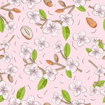 Vegetable 2 seamless pattern of the branches nuts almonds for decoration desi Stock Illustration