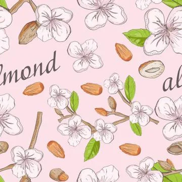 Vegetable 3 seamless pattern of the branches nuts almonds for decoration desi Stock Illustration