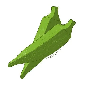 Vegetable abelmos okra gombo Illustrazione stock
