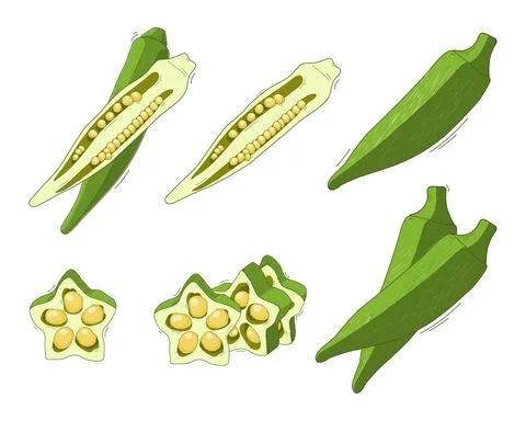 Vegetable abelmos okra gombo Stockillustratie