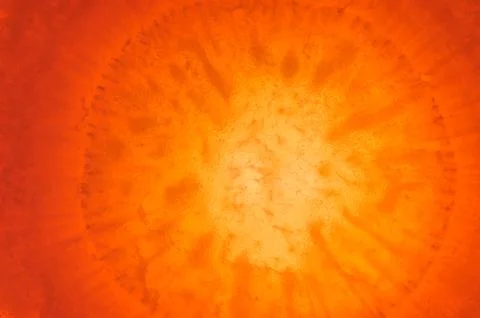 Vegetable abstract background. Stock Photos