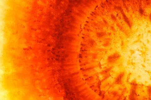 Vegetable abstract background. Stock Photos