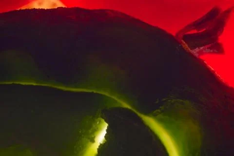 Vegetable abstract background. Stock Photos