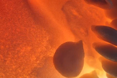 Vegetable abstract background. Stock Photos