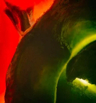 Vegetable abstract background. Stock Photos