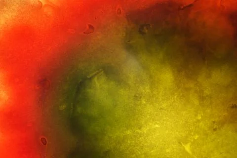 Vegetable abstract background. Stock Photos