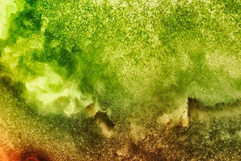Vegetable abstract background. Stock Photos
