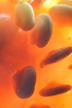 Vegetable abstract background. Stock Photos