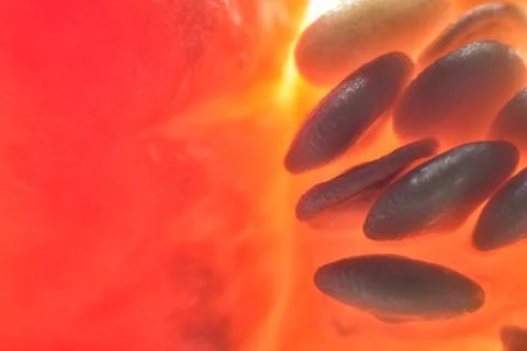 Vegetable abstract background. Stock Photos