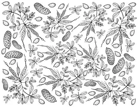 Vegetable and Fruit, Illustration Background Pattern of Hand Drawn Sketch Fre Stock Illustration