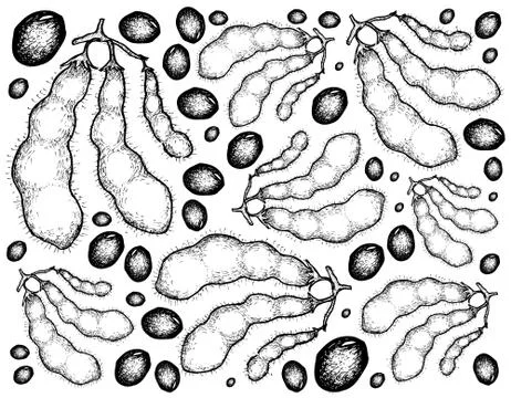 Vegetable and Fruit, Illustration Background Pattern of Hand Drawn Sketch Fre Stock Illustration