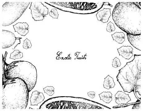Vegetable and Fruit, Illustration Frame of Hand Drawn Sketch of Cubiu Cocona Stock Illustration