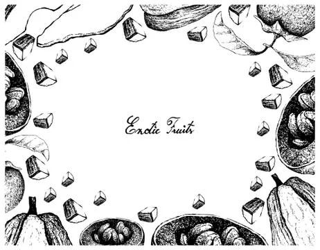 Vegetable and Fruit, Illustration Frame of Hand Drawn Sketch of  Fresh Chayot Stock Illustration