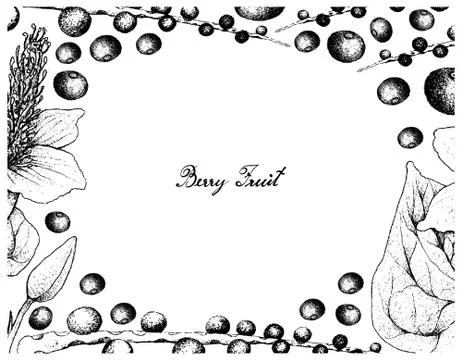 Vegetable and Fruit, Illustration Frame of Hand Drawn Sketch of Acai Berries Stock Illustration