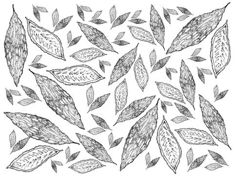 Vegetable and Herb, Illustration Background Pattern of Hand Drawn Sketch Deli Stock Illustration