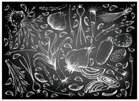 Vegetable and Herb, Illustration Frame of Hand Drawn Sketch Delicious Fresh B Stock Illustration