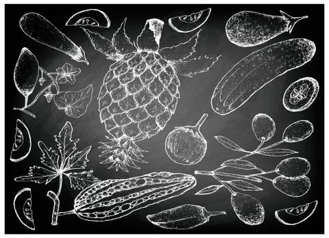 Vegetable and Herb, Illustration of Hand Drawn Sketch Delicious Fresh Gourd a Stock Illustration