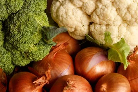 Vegetable assortment Stock Photos
