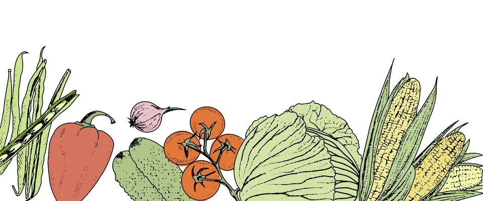 Vegetable background frame Stock Illustration