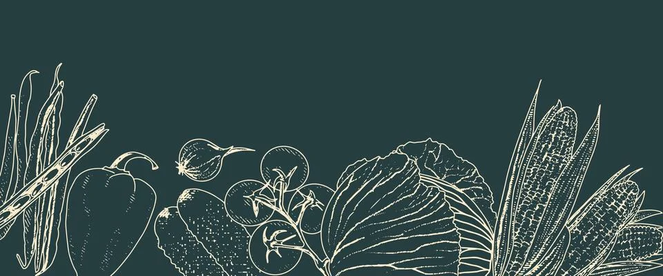 Vegetable background frame Stock Illustration