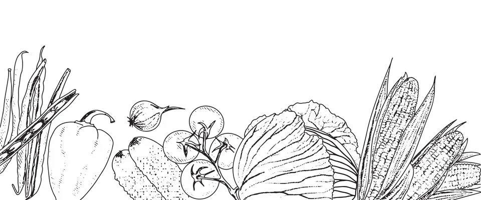 Vegetable background frame Stock Illustration