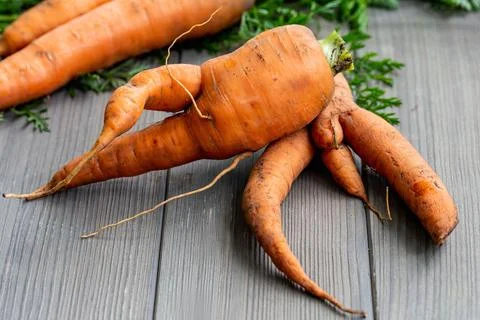 Vegetable background with fresh carrot roots Stock Photos