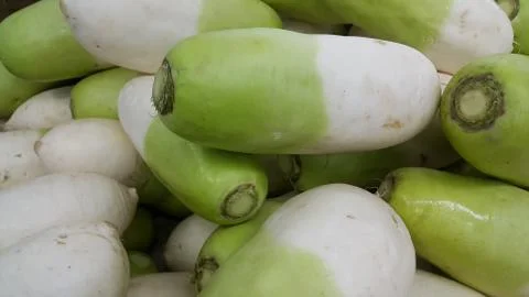 Vegetable background: Large radish pile in supermarket. Stock Photos