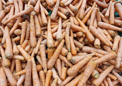 Vegetable background with lots of carrots Stock Photos