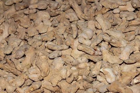 Vegetable background root ginger seasoning tasty many light beige curved frui Stock Photos