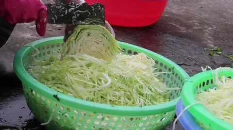 Vegetable in the basket Stock Footage 64578560