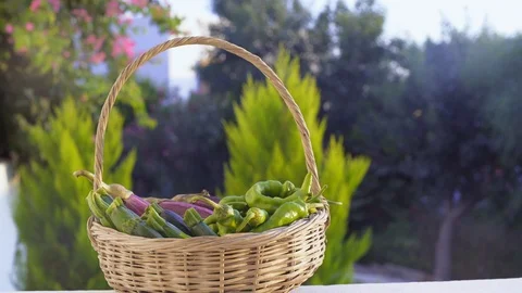 Vegetable Basket Stock Footage 95438370