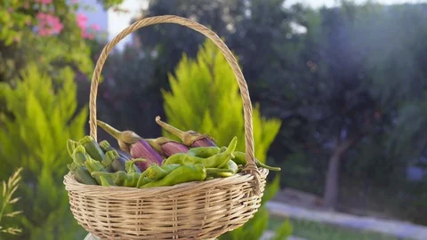 Vegetable basket Stock Footage 95463868