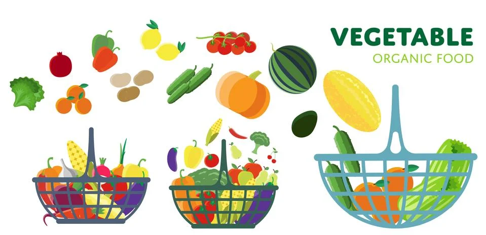 Vegetable on the basket, vector illustration. Stock Illustration