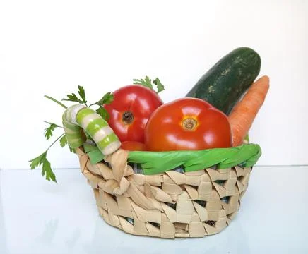 Vegetable basket in a white background Stock Photos