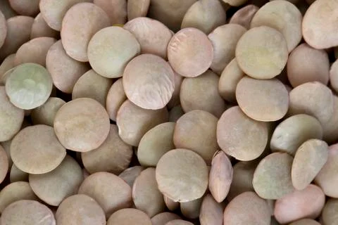 Vegetable beans Stock Photos