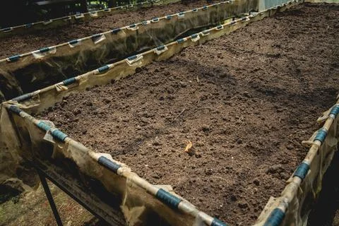Vegetable bed boxes with soil in the cafe organic garden Stock Photos