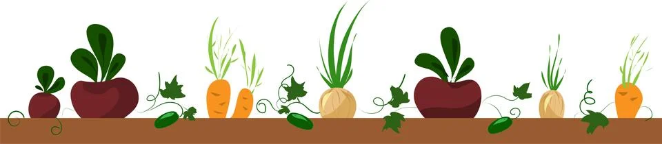 Vegetable bed, frame with beet, carrot, onion Stock Illustration