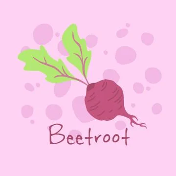 Vegetable Beetroot vector Stock Illustration