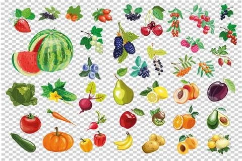 Vegetable berry fruit big collection vector kit isolated Stock Illustration