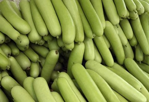Vegetable, bottle guard, India Stock Photos
